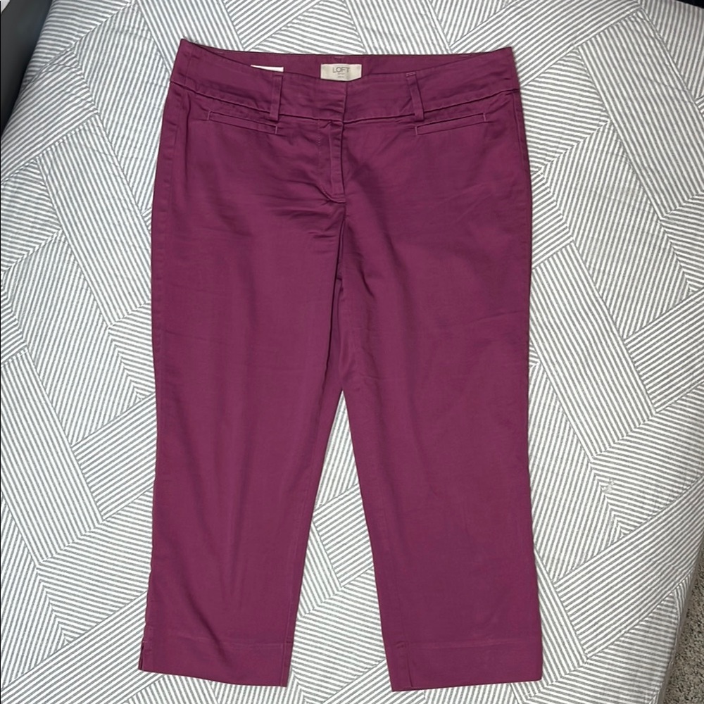 Loft Purple Capri Pants